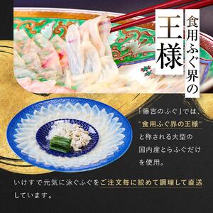 国内産高級とらふぐの刺身2皿セット(4～5人前)【配達不可地域有】