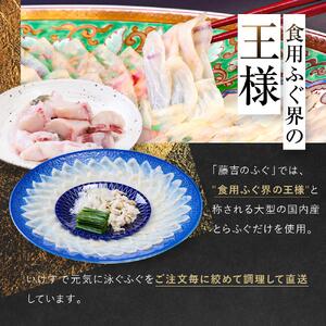 国内産高級とらふぐ料理セット(2～3人前)【配達不可地域有】