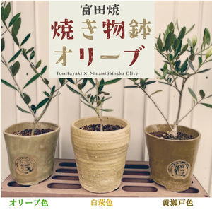 A27　焼き物鉢オリーブ