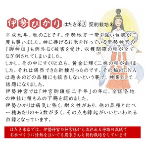 伊勢ひかり 10kg お米 白米 精米 伊勢 志摩 【三重県志摩市】