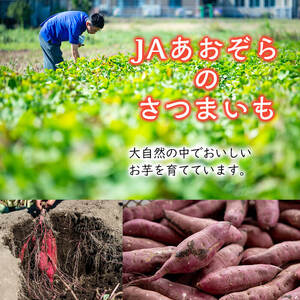 紅はるか使用！あおぞらさん家の芋プリン 90g×6個 a2-098