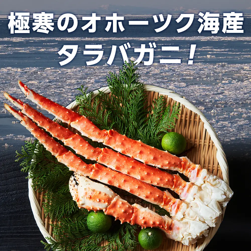 タラバガニ極太5Lサイズ1肩【配送不可地域：離島】
