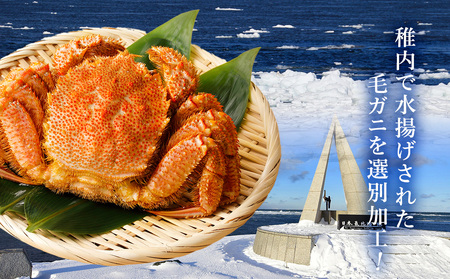 稚内産毛がに　400～500g×2尾【配送不可地域：離島・沖縄県】