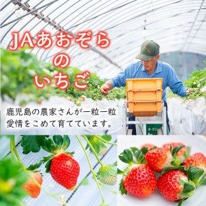 さがほのか使用！あおぞらさん家の苺ムース 55g×6個 a2-099