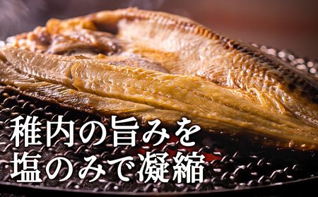 一夜干し魚セット【配送不可地域：離島・沖縄県】