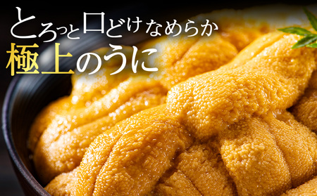 【先行予約】【厳選PREMIUM】美味しいウニは昆布の名産地にあり!生むらさきうに120g