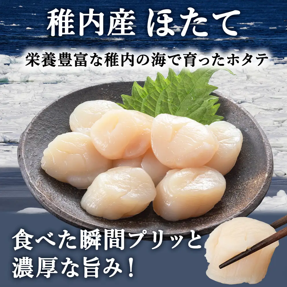 【北海道稚内産】ホタテ 貝柱 玉冷凍大～中サイズ 1kg 刺身 海鮮【配送不可地域：離島・沖縄県】
