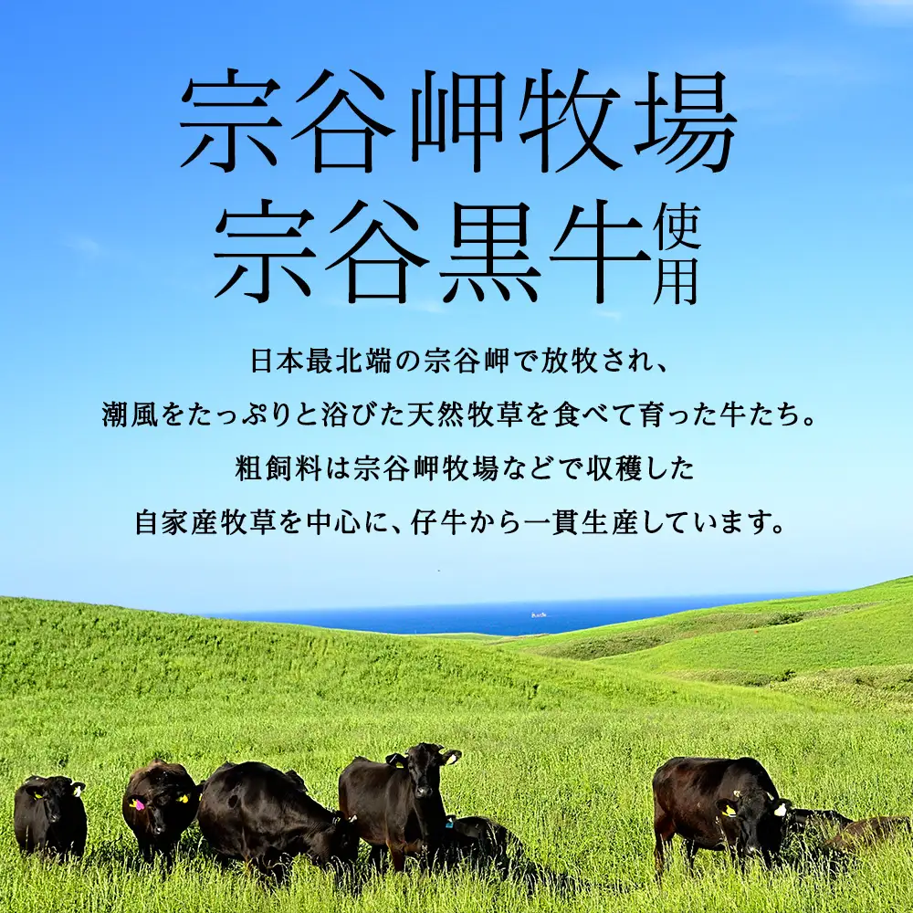 【稚内ブランド認定品】宗谷岬牧場のハンバーグ　120g4枚入×6箱(合計24枚)【配送不可地域：離島・沖縄県】