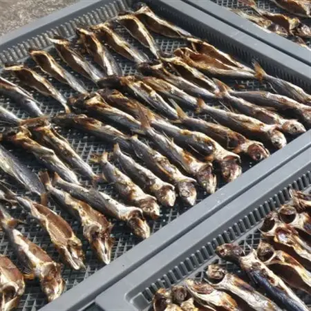 魚屋が作る焼あご100%粉末 無添加あごだし魚粉(100g×2)食塩不使用 トビウオふりだし出汁とり【1294226】