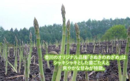 【訳あり】アスパラガス (さぬきのめざめロング)　夏芽 1kg
