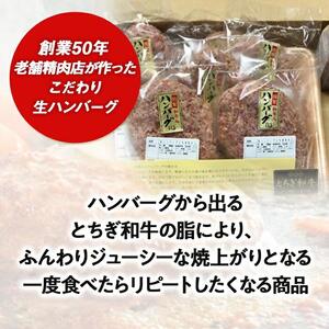 とちぎ和牛入り手作り生ハンバーグ【肉 お肉 にく 食品 人気 おすすめ  ギフト】