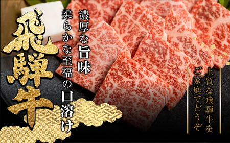 【ふるさと納税】定期便 全12回 飛騨牛 5等級 しゃぶしゃぶ すき焼き 焼肉 お楽しみ定期便 12ヵ月 ロース もも うで 食べ比べ 国産牛 国産 牛肉 肉 厳選 熟成 肉の沖村[Q1206]