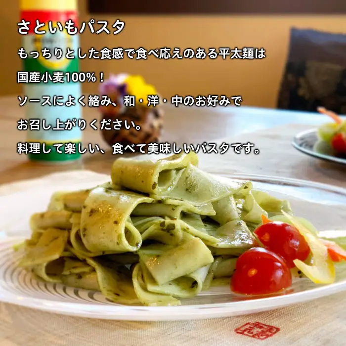 さといも入り乾麺シリーズ さといもパスタ 180g×10袋セット  FZ23-930