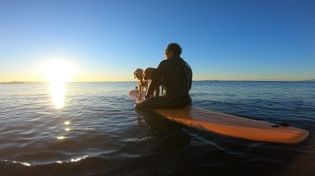 (5)海洋散骨セレモニー券（大切なご家族（ペット）とのお別れセレモニー） 海へ散骨 