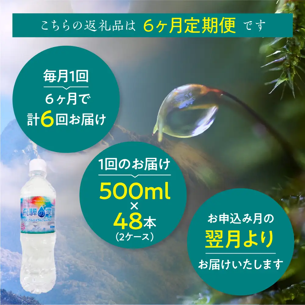 定期便 6か月 天然水 飛騨の雫 500ml×48本 (2ケース) | 定期便 JS102