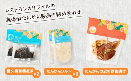屋久島たんかんご褒美セット