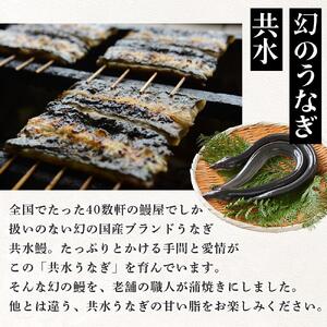 幻の国産ブランド鰻　共水うなぎのかば焼き　5串（約115g×5）タレ・山椒付き　極上の甘みとうまみ、ふっくらとした食感【鰻 魚介類 水産 食品 人気 おすすめ 】