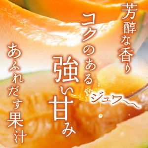北海道石狩産 赤果肉メロン2玉 計3.2kg以上｜メロン フルーツ 果物 北海道 石狩市