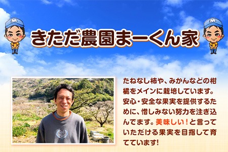 【先行予約】まーくん家のみかん 約10kg 《11月中旬-12月中旬頃出荷》　みかんみかんみかんみかんみかん