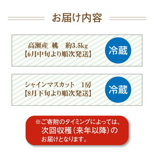 三豊市フルーツ2回お届け定期便E