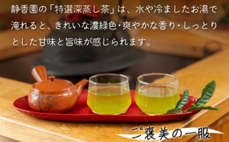 お茶 茶葉 2種 入浴茶 1袋 セット 緑茶 水出し 深蒸し茶 飲料
