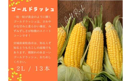【先行予約：2026年7月中旬頃から発送予定】とうもろこし ゴールドラッシュ 2Lサイズ 合計 13本 1箱 東松島市産 朝採れ とみぎ とうみぎ コーン 夏野菜 産地直送 宮城県 東松島市