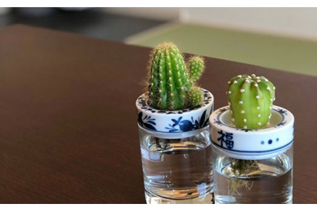 【美濃焼】SaiSui Blue（染果実）【大東亜窯業】【TOKI MINOYAKI返礼品】≪土岐市≫ 鉢 プランター インテリア かわいい おしゃれ 園芸 ガラス 陶磁器 磁器 コンパクト 水耕栽培 観葉植物 ブルー 青 ネイビー 藍色 染付 送料無料 [MAG004]