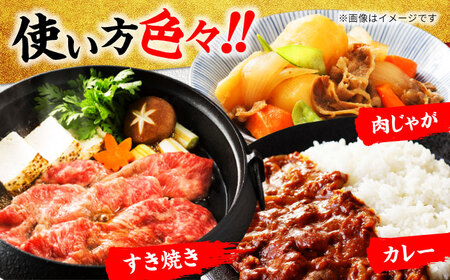 飛騨牛切り落とし 1kg(250g×4)  A5飛騨牛【マルゴー】[MBE003]切り落とし