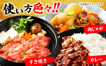 【6回定期便】飛騨牛 切り落とし 500g【マルゴー】すき焼き しゃぶしゃぶ 牛丼[MBE030]