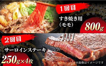 【6回定期便】飛騨牛 贅沢定期便コース【マルゴー】和牛 サーロインステーキ 焼肉[MBE037]