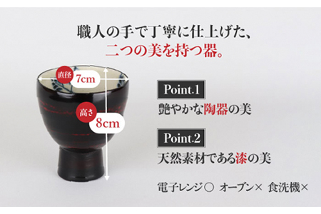 【美濃焼】漆陶 酒器セット 曙【宗山窯】【TOKI MINOYAKI返礼品】食器 おちょこ とっくり 酒器 杯 お猪口 御猪口 徳利 漆 呉須 染付 工芸品 職人 黒 ブラック 陶器 送料無料  [MBI003]