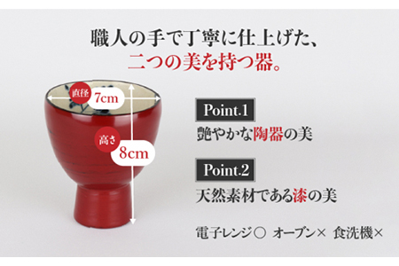 【美濃焼】漆陶 酒器セット 根来【宗山窯】【TOKI MINOYAKI返礼品】 食器 おちょこ とっくり 酒器 杯 お猪口 御猪口 徳利 漆 呉須 染付 工芸品 職人 赤 レッド 陶器 送料無料[MBI004]