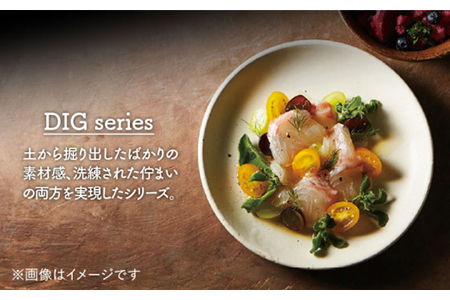 【美濃焼】Dig パスタプレート ペアセット【丸利玉樹利喜蔵商店】 皿 ボウル カレー デザート 食器 うつわ  カフェ シンプル かわいい おしゃれ 深皿 取り皿  陶器 食器 日本製 プレート お皿 取り皿 深皿 洋食器 おしゃれ 送料無料  [MCC009]