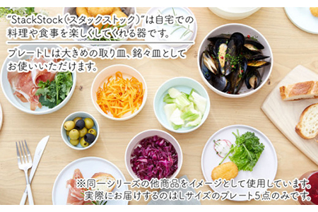 【美濃焼】StackStock プレートL 5色セット【城山製陶所】 インテリア 収納 スタック カラフル かわいい 食器 皿 ケーキ デザート 美濃焼 取り皿 セット 小皿 ケーキ皿 デザート皿 おしゃれ 送料無料 [MCK006]