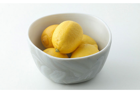 【美濃焼】likestone ISHIBOWL_S イシボウル ペア【芳泉窯】【TOKI MINOYAKI返礼品】食器 鉢 副菜鉢 サラダボウル セット ペア 夫婦 カップル 大理石調 陶器 土物 白 黒 ホワイト ブラック モノトーン シンプル おしゃれ 送料無料 [MBQ006]