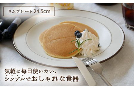 【美濃焼】食器5点セット Daily style ブラウンライン【EAST table】 [MBS032]