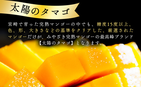 宮崎県串間市産 完熟マンゴー 太陽のタマゴ(2L×2個) 化粧箱入り_K008-028
