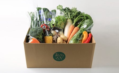 おとなりさんち厳選！浜松から鮮度抜群！旬の野菜BOX【配送不可：沖縄・離島】 セット 詰合せ 