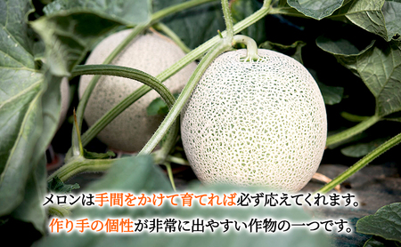【2026年6月下旬より発送】北海道 富良野 赤肉 メロン『厳選』大玉 2玉 計3.6kg以上 (松本農園) メロン フルーツ 果物 新鮮 甘い 贈り物 ギフト 道産 ジューシー おやつ ふらの ブランド 夏 