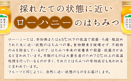 観音山みかんはちみつ600g 有限会社柑香園 《90日以内に出荷予定(土日祝除く)》和歌山県 紀の川市 蜂蜜 ハチミツ ローハニー