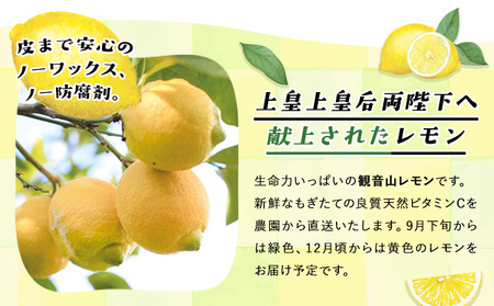 ノーワックス 観音山レモン 2kg