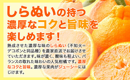 観音山しらぬい 3kg