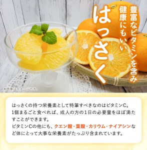 【先行予約】八朔 約5kg(3L-Lサイズ)JAわかやま 紀の里地域本部 《2027年1月上旬-3月末頃出荷》 和歌山県 紀の川市 果物 フルーツ 柑橘 はっさく