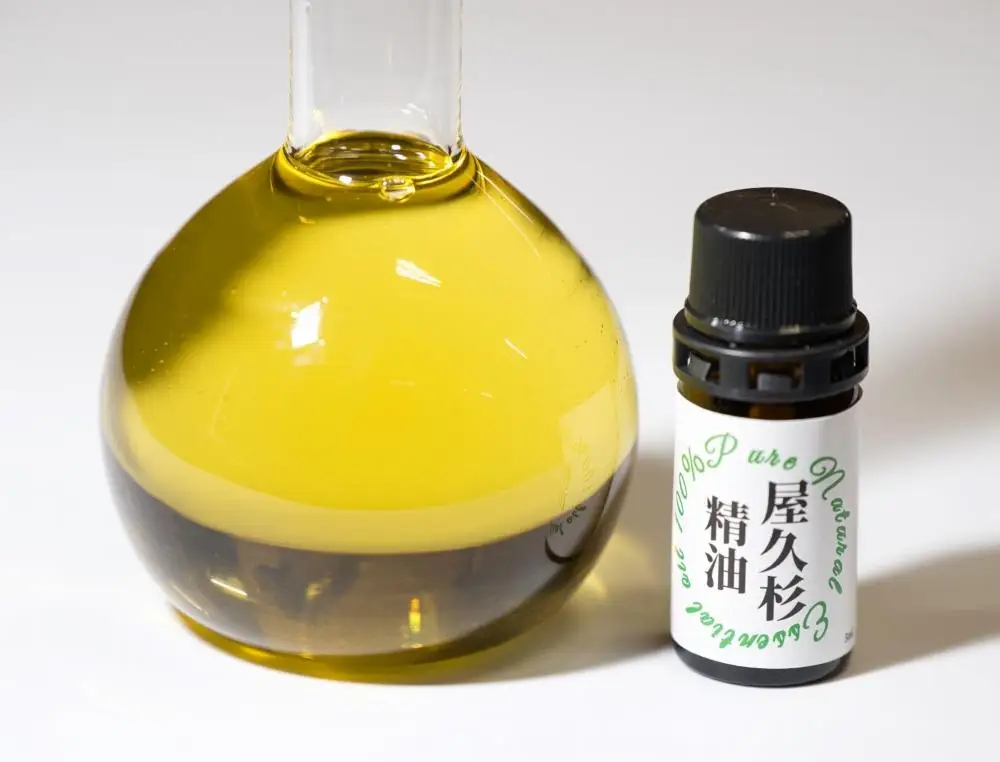 屋久杉精油 5ml 2本セット | 精油