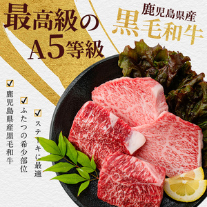希少部位 ヒウチ＆イチボ A5等級鹿児島県産黒毛和牛食べ比べステーキ カミチク IB112-009 牛肉 牛肉 