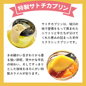 奥伊予城川の味 特製サトチカプリン（6個セット） SSC0002