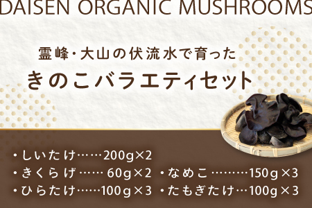 オーガニックきのこバラエティセット約1.5kg（5種13パック入）
