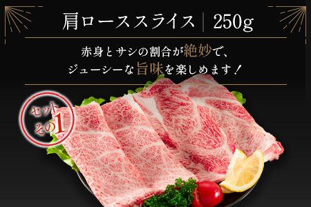 ＜肉質等級4等級＞宮崎牛 4種 食べ比べ スライス セット（各250g×4パック）合計1kg 国産 肉 牛肉 ご飯 おかず【D118-2510-90】