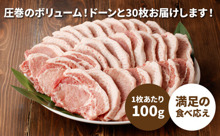 贅沢宮崎県産豚肉ロース100gカット30枚_K16_0018_3