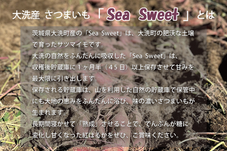  【先行予約】 大洗産 さつまいも 紅はるか 2.5kg （8本前後） 「Sea Sweet」 長期熟成 茨城県産 サツマイモ 土付き 生芋 芋 さつま芋 薩摩芋 甘藷 べにはるか_CF002